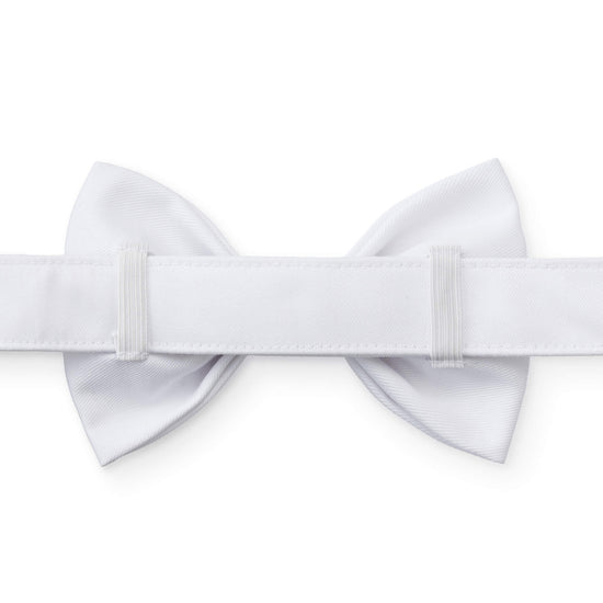 White Bow Tie Collar