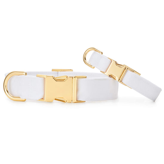 White Dog Collar from The Foggy Dog