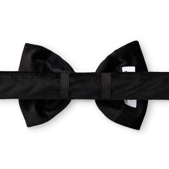 Black Velvet Bow Tie Collar from The Foggy Dog 