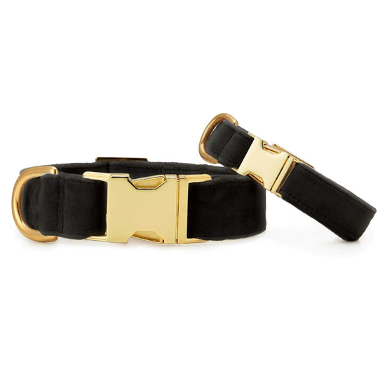 Black Velvet Dog Collar from The Foggy Dog XS Gold 