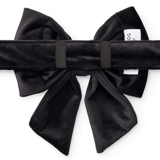 Black Velvet Lady Bow Collar from The Foggy Dog 