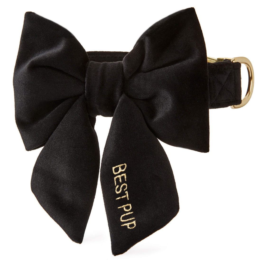 Black Velvet Lady Bow Collar The Foggy Dog