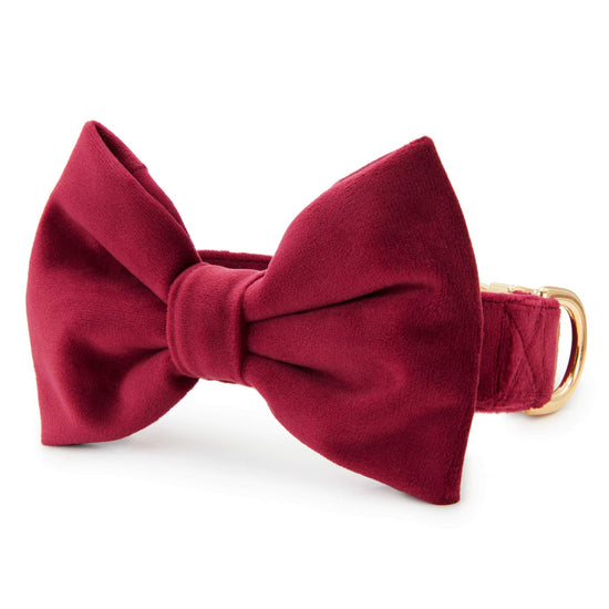 Burgundy Velvet Bow Tie Collar from The Foggy Dog XS Standard 