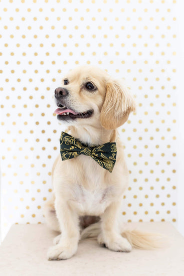 Colette Dark Pine Metallic Floral Dog Bow Tie from The Foggy Dog 