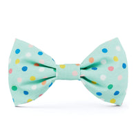 Confetti Dots Dog Bow Tie from The Foggy Dog 