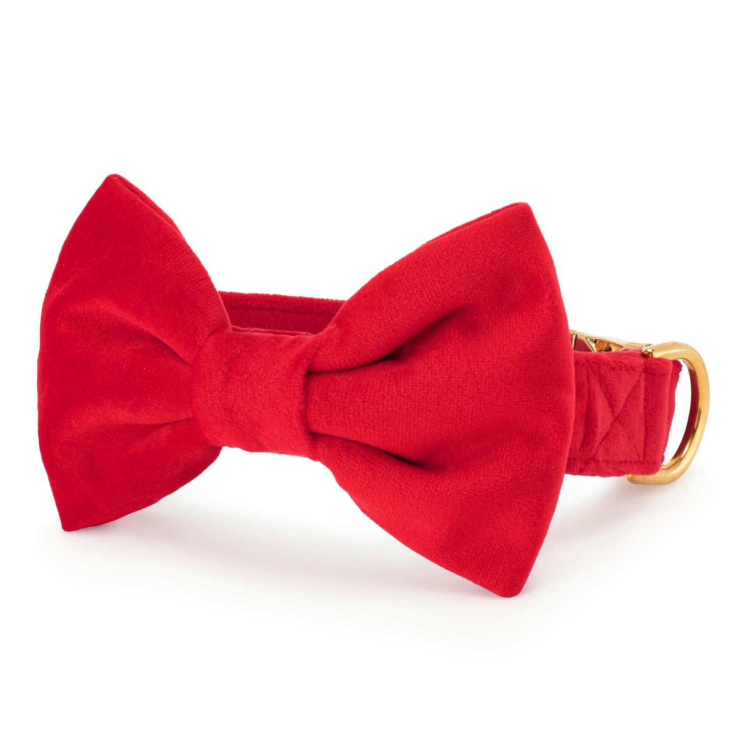 Cranberry Velvet Bow Tie Collar from The Foggy Dog
