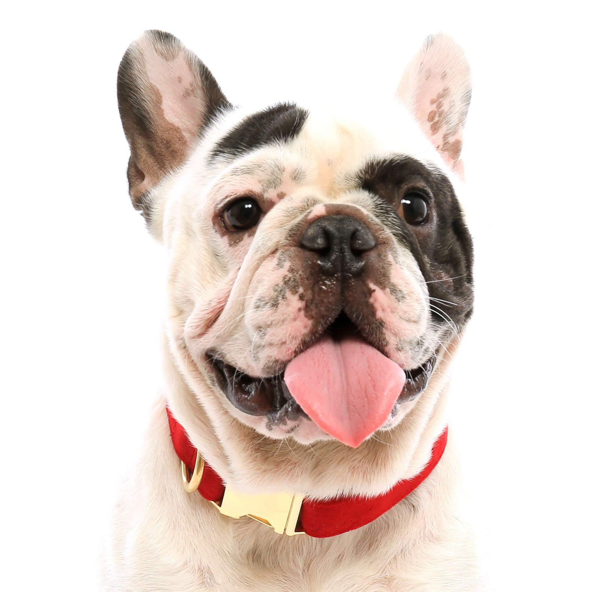 #Modeled by Chubbington (25lbs) in Medium