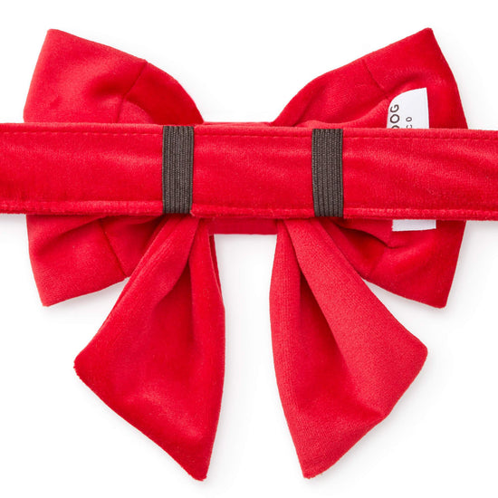 Cranberry Velvet Lady Bow Collar from The Foggy Dog 