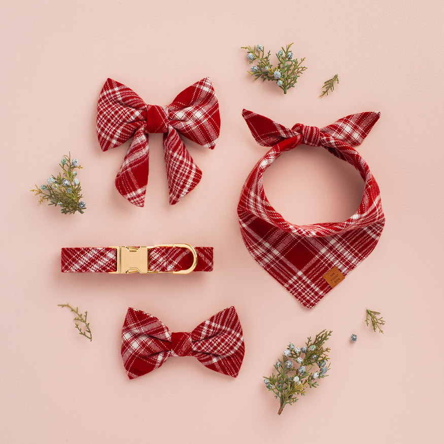 St. Louis Cardinals-molin Dog Bow Tie Self-fastening 