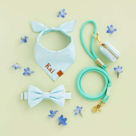 TFD x Simplified® Mint Mandalay Bow Tie Collar