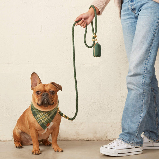 Evergreen Waxed Canvas Waste Bag Dispenser from The Foggy Dog 