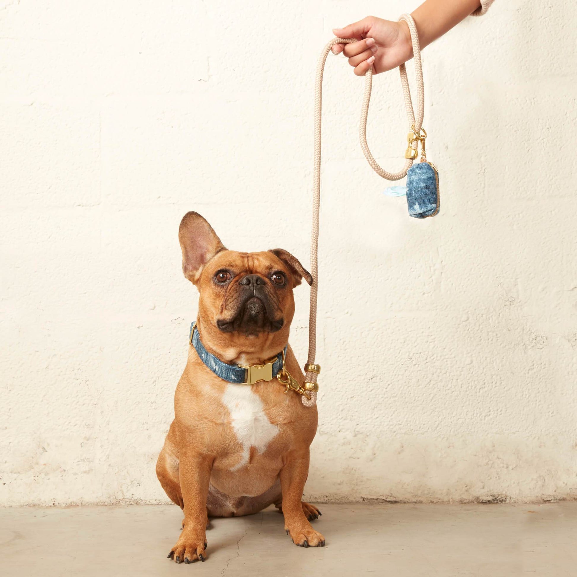 Flax Marine Rope Dog Leash – The Foggy Dog - Main Image