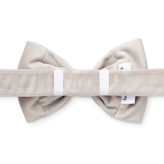 Fog Gray Velvet Bow Tie Collar from The Foggy Dog 