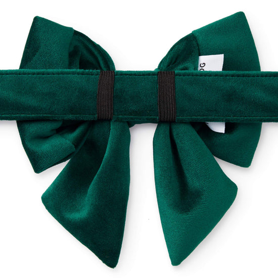 Forest Green Velvet Lady Bow Collar from The Foggy Dog 