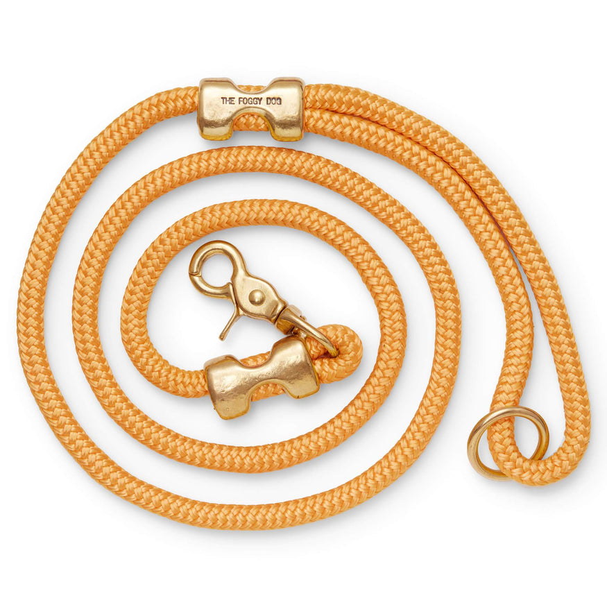 Goldenrod Marine Rope Dog Leash – The Foggy Dog