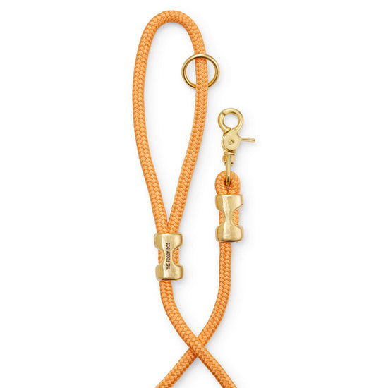 Goldenrod Marine Rope Dog Leash (Standard/Petite) from The Foggy Dog 