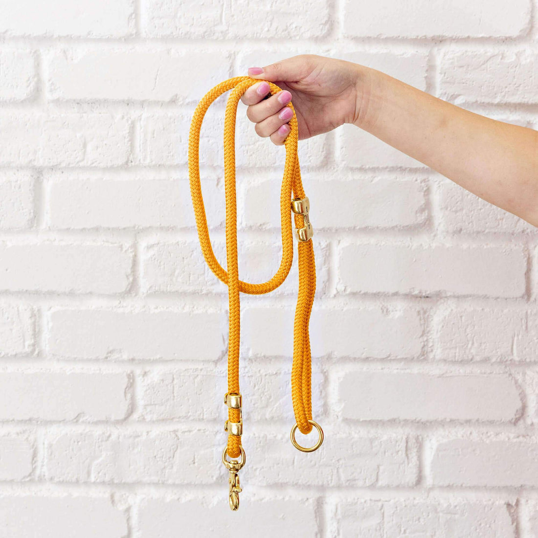 Goldenrod Marine Rope Dog Leash The Foggy Dog