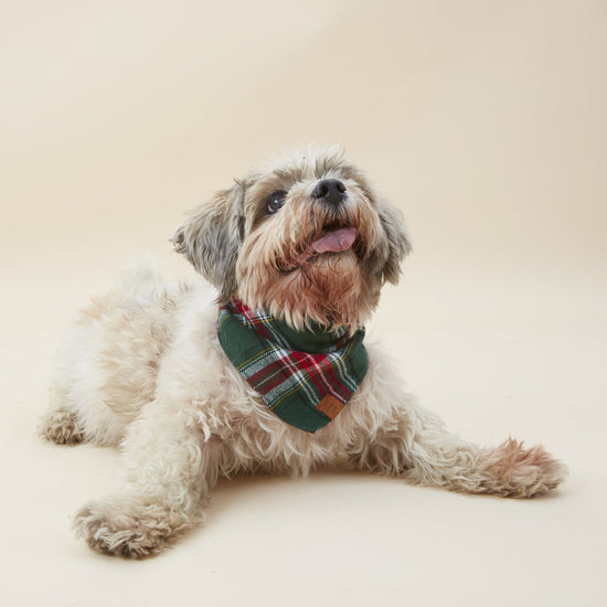 Holly Jolly Flannel Dog Bandana from The Foggy Dog 
