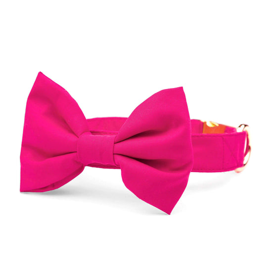 Hot Pink Bow Tie Collar from The Foggy Dog 