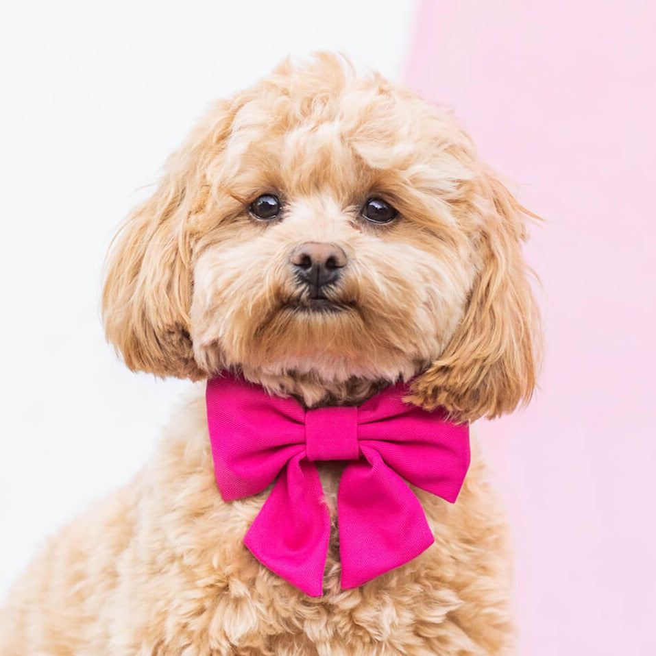 Diy Dog Dog Bow Tie Collar Slide Hot Pink Lady Dog Bow