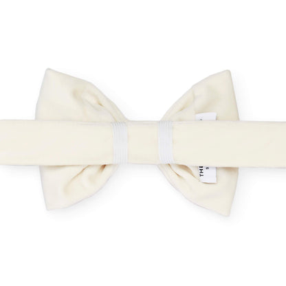 Ivory Velvet Bow Tie Collar from The Foggy Dog 
