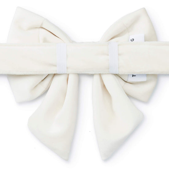 Ivory Velvet Lady Bow Collar from The Foggy Dog 