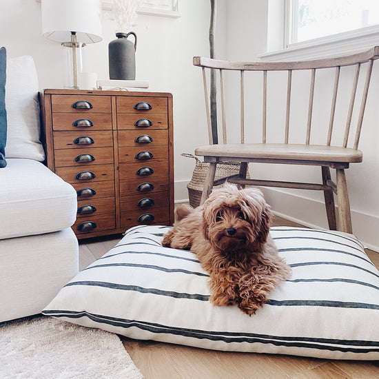 Modern Stripe Charcoal Dog Bed from The Foggy Dog 