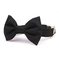 Onyx Bow Tie Collar from The Foggy Dog 