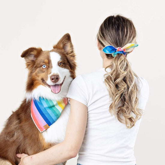Over the Rainbow Scrunchie and Bandana Set from The Foggy Dog 