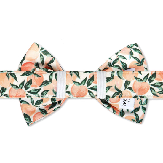 Peaches and Cream Bow Tie Collar from The Foggy Dog 