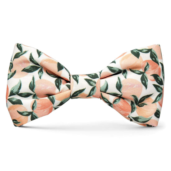 Peaches and Cream Dog Bow Tie from The Foggy Dog 