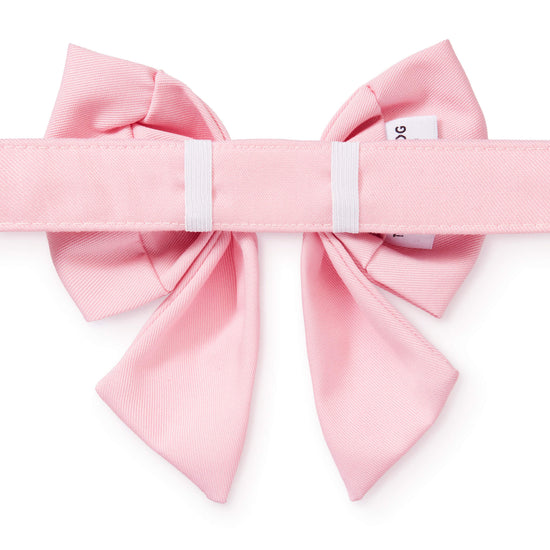 Petal Pink Lady Dog Bow from The Foggy Dog 
