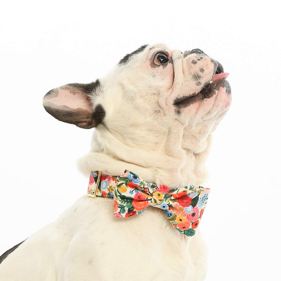 Petite Petals Dog Bow Tie from The Foggy Dog 