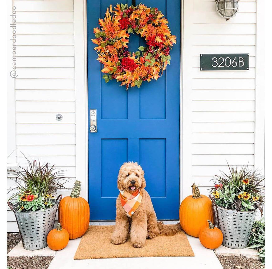 Adorably Spooky Halloween Dog Bandanas - Chelsea Dogs Blog