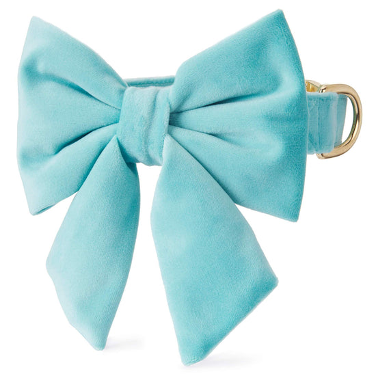 Robin's Egg Velvet Lady Bow Collar from The Foggy Dog XS Small 