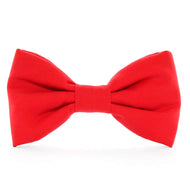 Ruby Dog Bow Tie from The Foggy Dog 