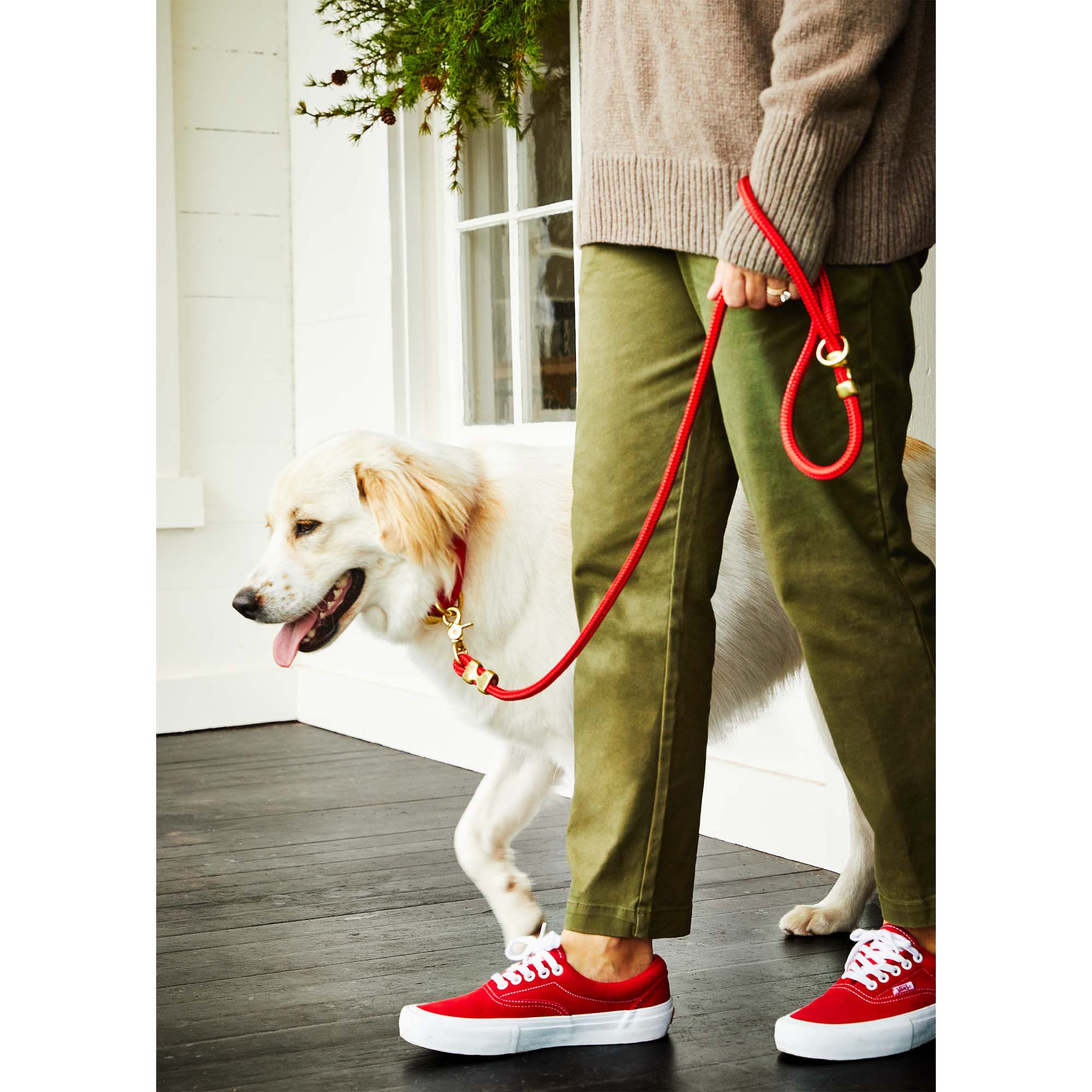 Ruby Dog Color Ruby Dog Collar – The Foggy Dog