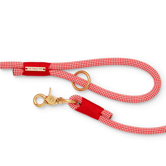 Strawberry Climbing Rope Dog Leash from The Foggy Dog 