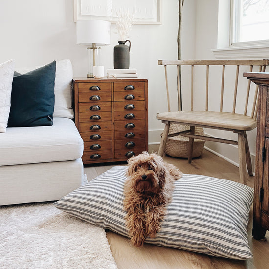 Ticking Stripe Dog Bed from The Foggy Dog 