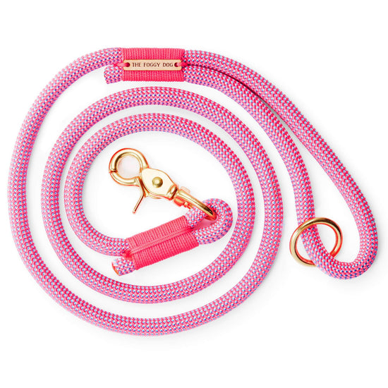 Watermelon Pink Climbing Rope Dog Leash from The Foggy Dog 6 feet 